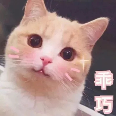 廣州個(gè)人也可以繳存公積金，滿一年可貸款買房！